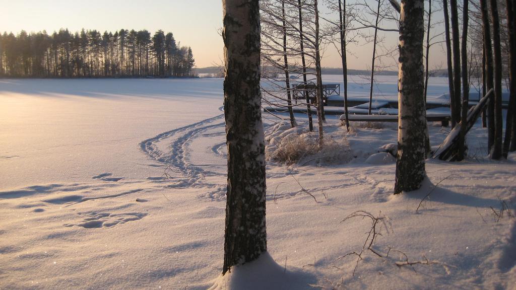 Nestorinranta Resort Lintusalo Esterno foto