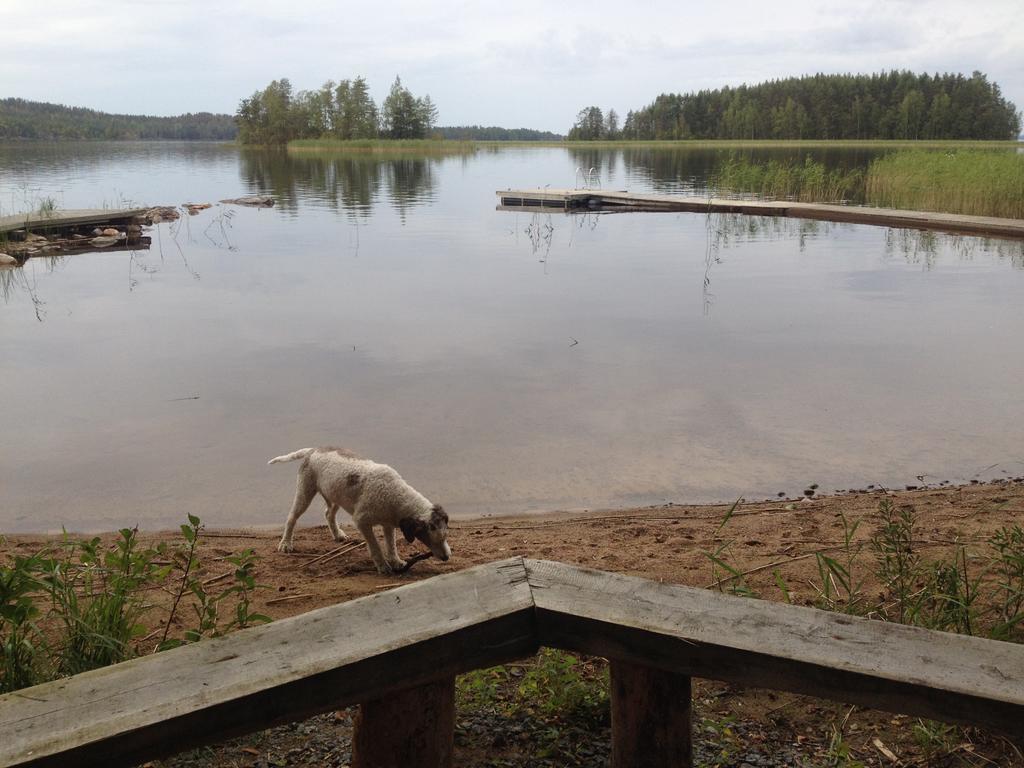 Nestorinranta Resort Lintusalo Esterno foto