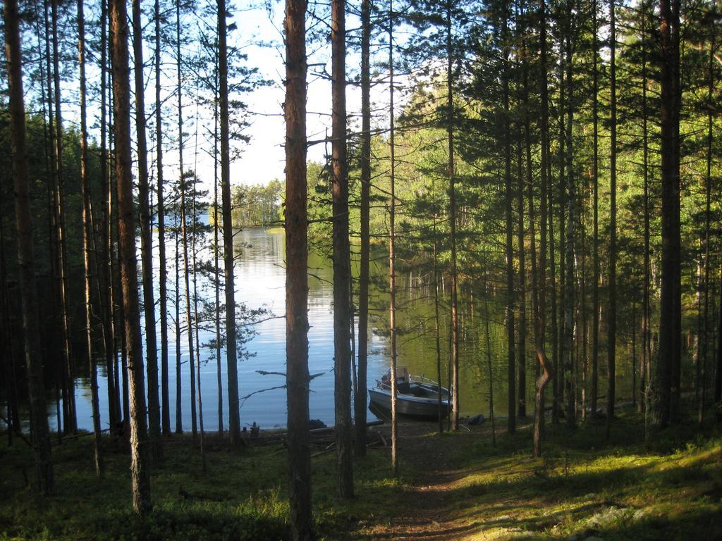 Nestorinranta Resort Lintusalo Esterno foto