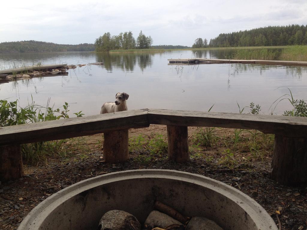 Nestorinranta Resort Lintusalo Esterno foto